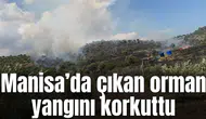 Üçpınar’da çıkan orman yangını korkuttu