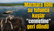 Marmara Gölü su tutunca kuşlar "cennetine" geri döndü