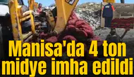 Manisa'da 4 ton midye imha edildi