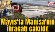 Mayıs'ta Manisa'nın ihracatı çakıldı!