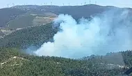 Manisa'da orman yangını
