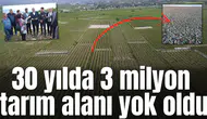 30 yılda 3 milyon tarım alanı yok oldu