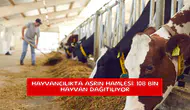 Hayvancılıkta asrın hamlesi: 108 bin hayvan dağıtılıyor