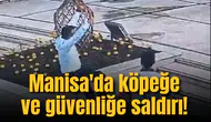 Manisa'da köpeğe ve güvenliğe saldırı!