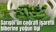 Sarıgöl'ün coğrafi işaretli biberine yoğun ilgi