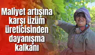 Maliyet artışına karşı üzüm üreticisinden dayanışma kalkanı
