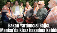 Bakan Yardımcısı Bağcı, Manisa’da kiraz hasadına katıldı