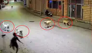 10 yaşındaki çocuk dehşeti yaşadı