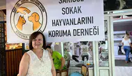 Manisa'nın sokak hayvanlarına bu dernek sahip çıkıyor