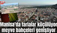 Manisa’da tarlalar küçülüyor meyve bahçeleri genişliyor