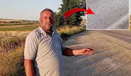 Binlerce kurbağa yolu istila etti