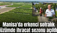 Manisa'da erkenci sofralık üzümde ihracat sezonu açıldı