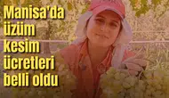 Manisa'da üzüm kesim ücretleri belli oldu