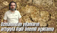 Uzmanından yılanların artışıyla ilgili önemli açıklama