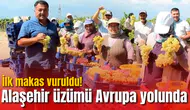İlk makas vuruldu! Alaşehir üzümü Avrupa yolunda