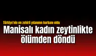 Manisalı kadın zeytinlikte ölümden döndü: Türkiye'nin en zehirli yılanı ısırdı!