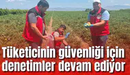 Tüketicinin güvenliği için denetimler devam ediyor