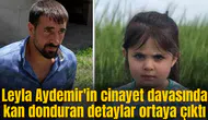 Leyla Aydemir'in cinayet davasında kan donduran detaylar ortaya çıktı
