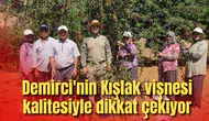 Manisa’nın Kışlak köyünde 500 ton vişne üretimi yapılıyor