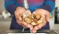 Mantar temizliğinde ezber bozan yöntem! Su yerine bunu kullanın!
