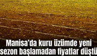 Kuru üzümde yeni sezon başlamadan fiyatlar düştü