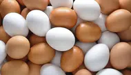 Beyaz ve kahverengi yumurta arasındaki gerçek fark ne? Uzmanların yanıtı şaşırtıyor