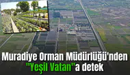 Muradiye Orman Müdürlüğü'nden "Yeşil Vatan"a detek