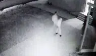 Cami avlusunda uygunsuz davranış uyarısı saldırıyla bitti
