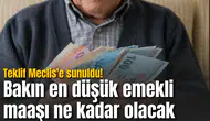 Teklif Meclis'e sunuldu! Bakın en düşük emekli maaşı ne kadar olacak