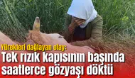 Yürekleri dağlayan olay: Tek rızık kapısının başında saatlerce gözyaşı döktü