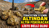 Türkiye'nin 11 ilinin altından altın fışkıracak: Liste belli oldu
