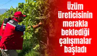 Üzüm üreticisinin merakla beklediği çalışmalar başladı