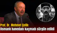 Prof. Dr. Mehmet Çelik: Osmanlı hanedanı kaçmadı, sürgün edildi