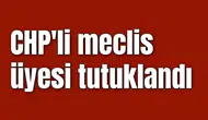CHP'li meclis üyesi tutuklandı