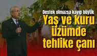 Yaş ve kuru üzümde tehlike çanı: Destek olmazsa kayıp büyük