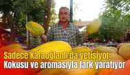 Sadece Karaoğlanlı'da yetişiyor: Kokusu ve aromasıyla fark yaratıyor