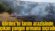 Gördeste korkutan orman yangını