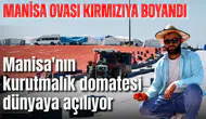 Manisa Ovası kırmızıya boyandı