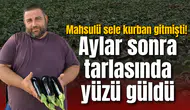 Mahsulü sele kurban gitmişti! Aylar sonra tarlasında yüzü güldü