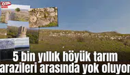 5 bin yıllık höyük tarım arazileri arasında yok oluyor