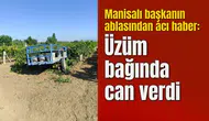 Manisalı başkanın ablasından acı haber: Üzüm bağında can verdi