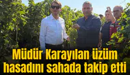 Müdür Karayılan üzüm hasadını sahada takip etti