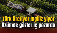 Türk üretiyor İngiliz yiyor: Üzümde gözler iç pazarda