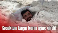 Sıcaktan kaçıp karın içine girdi!