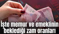 İşte memur ve emeklinin beklediği zam oranları