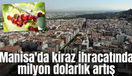 Manisa'da kiraz ihracatında milyon dolarlık artış