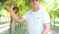 Manisa'da ihraç edilemeyen üzümler bakın nasıl değerlendirilecek