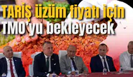 TARİŞ üzüm fiyatı için TMO’yu bekleyecek