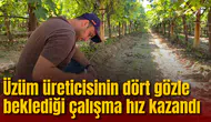 Üzüm üreticisinin dört gözle beklediği çalışma hız kazandı