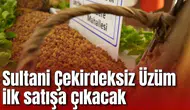 Sultani Çekirdeksiz Üzüm ilk satışa çıkacak